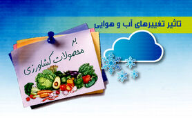 تاثیر تغییرهای آب و هوایی بر محصولات کشاورزی+ اینفوگرافی 

