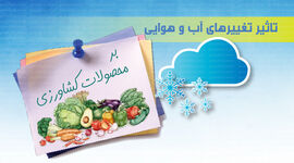 تاثیر تغییرهای آب و هوایی بر محصولات کشاورزی+ اینفوگرافی 

