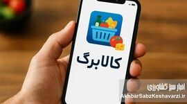 شارژ کالابرگ دهک‌های ۴ تا ۷ آغاز شد | امکان خرید و تحویل درب منزل