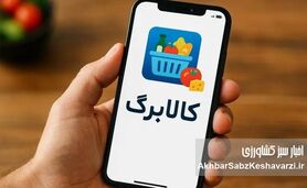 واریز یک میلیون تومان قطعی شد؛ چه کسانی همین امروز مشمول می‌شوند؟

