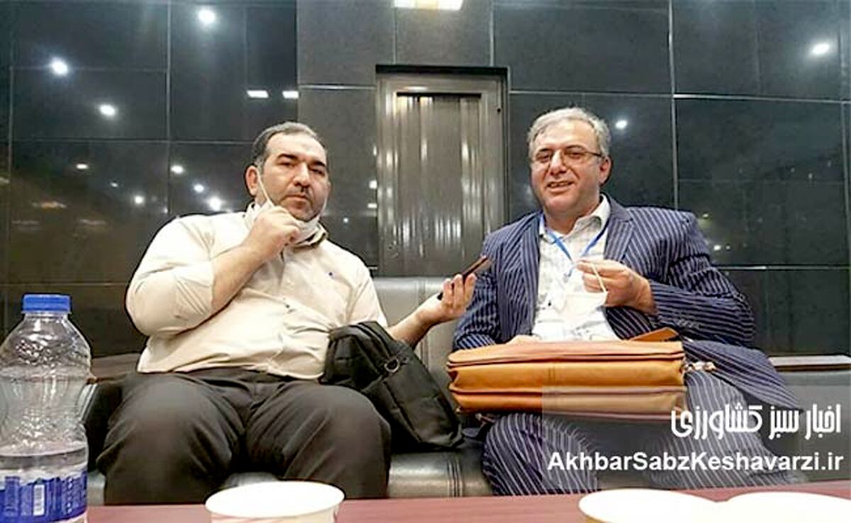 بحران مدرک‌گرایی سلبریتی‌ها و ریشه‌های یک بیماری مزمن!