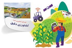 کشاورزی دقیق


