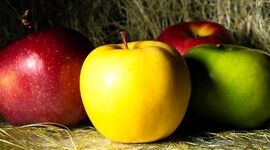کدام میوه‌ها به کاهش وزن کمک می‌کنند؟

