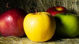 کدام میوه‌ها به کاهش وزن کمک می‌کنند؟

