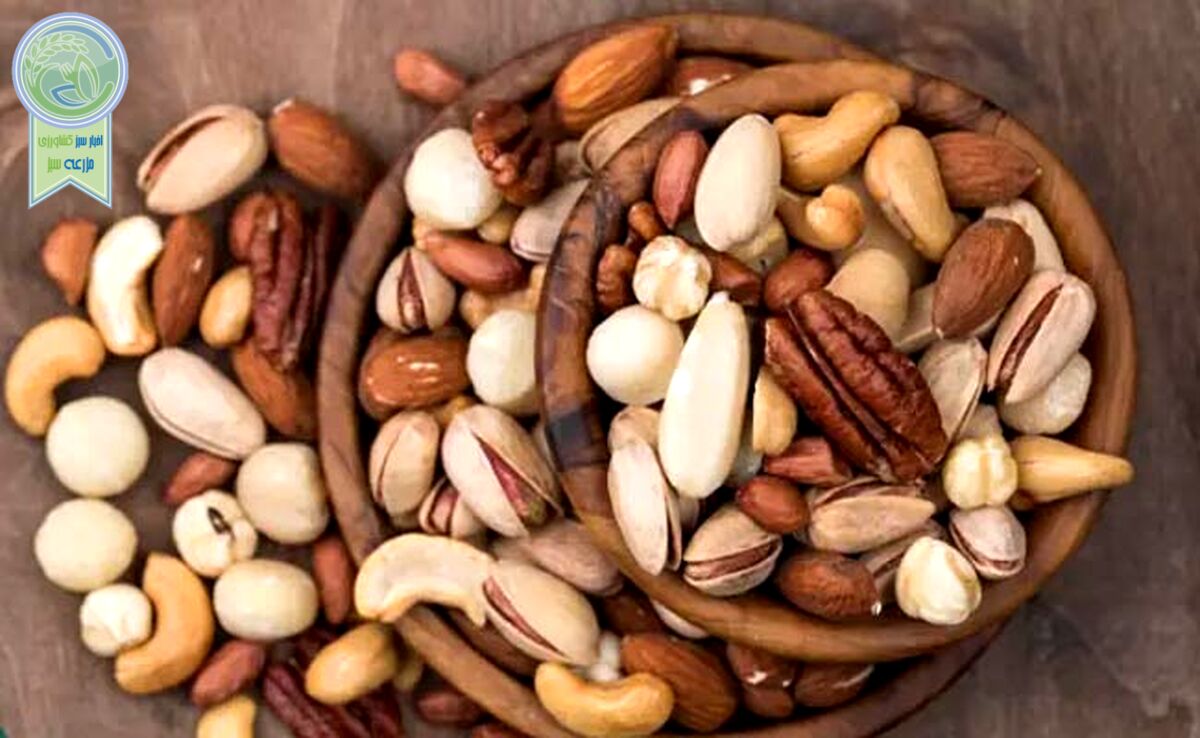 بهترین آجیل برای درمان کم خونی کدام است؟

