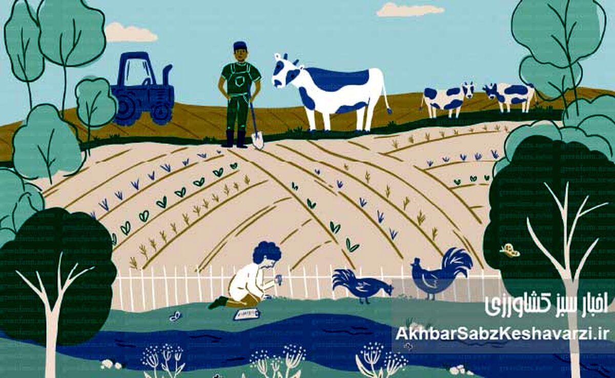 از انقلاب سبز تا امنیت غذایی: معرفی جامع سیستم‌های کشاورزی پایدار