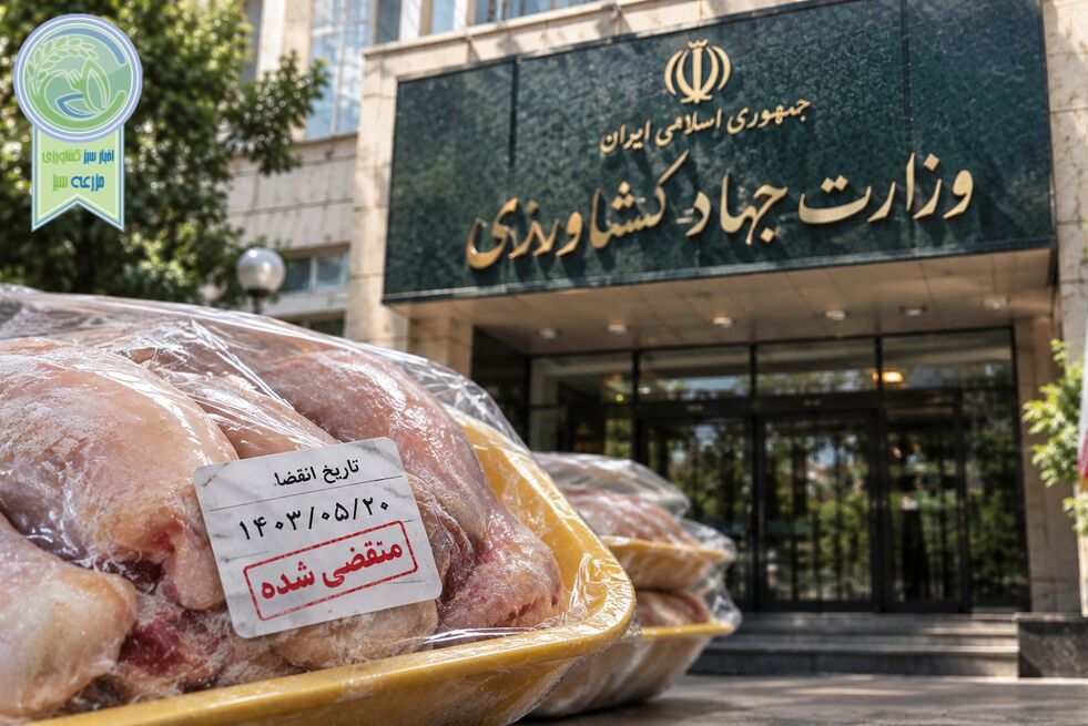 مرغ تاریخ‌مصرف‌گذشته؛ وقتی سلامت مردم قربانی ضعف نظارت می‌شود