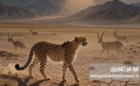 ​فراتر از یک تقویم؛ نجوای بقا در فلات ایران

