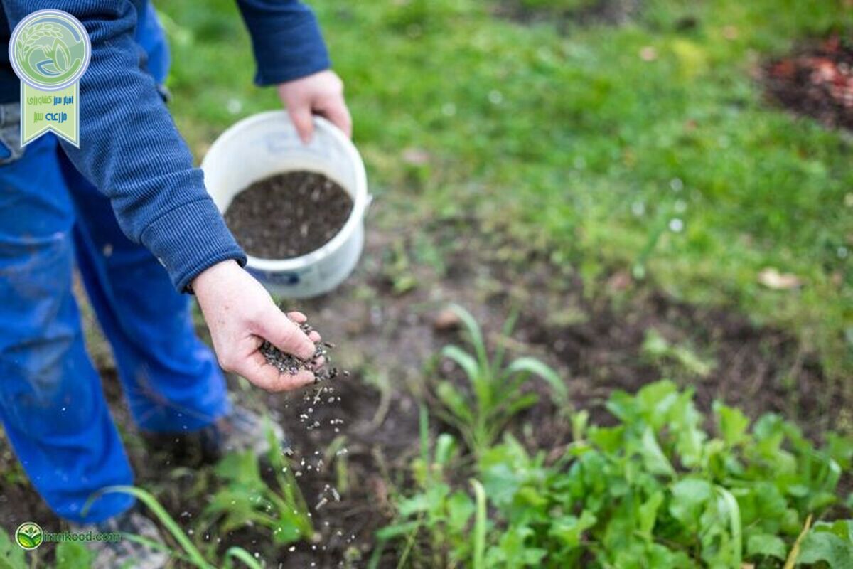 هیچ افزایش قیمتی برای انواع کود نداریم

