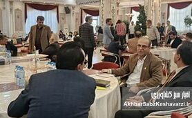بازار افغانستان، فرصت تازه برای گسترش محصولات کیمیای سبز رفسنجان