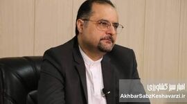 دیباچه‌ای بر پیامدهای برنامه اصلاحات ارضی ایران