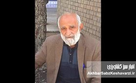 صلاحی‌ها؛ چشم و چراغ صنعت زنبورداری ایران