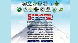  نخستین نمایشگاه تخصصی دام و طیور و جشنواره گاو هلشتاین آغاز به کار کرد

