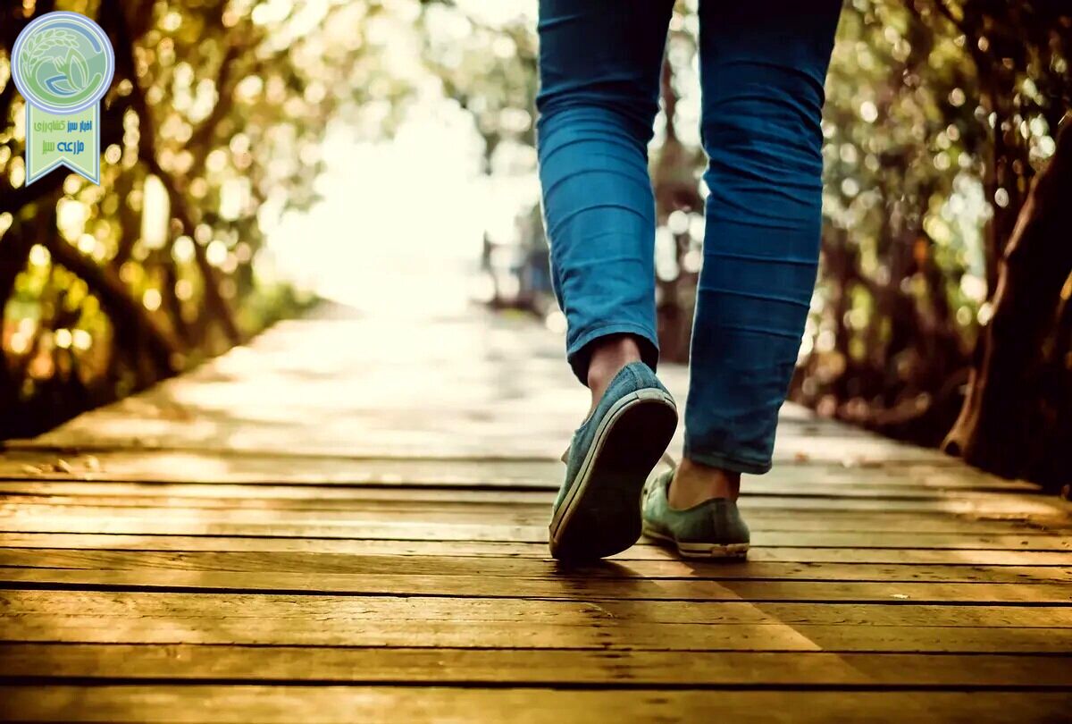 معجزه پیاده روی برای سلامتی

