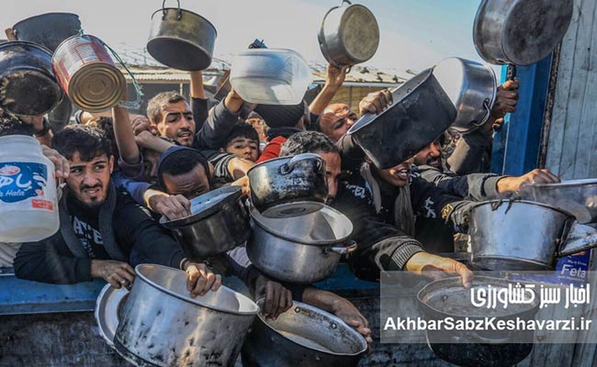 غزه و تراژدی یک وعده غذایی: مرگ در صف نان!