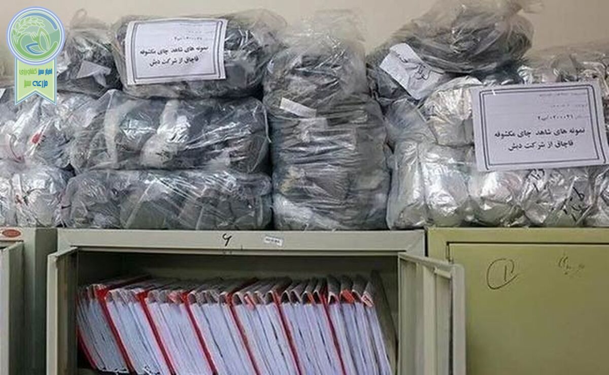 آغاز رسیدگی به پرونده چای دبش با ۶۱ متهم

