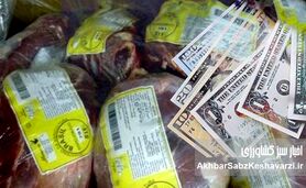 ارز حرام شده برای واردات گوشت را به تولید کننده بدهید+ویدئو