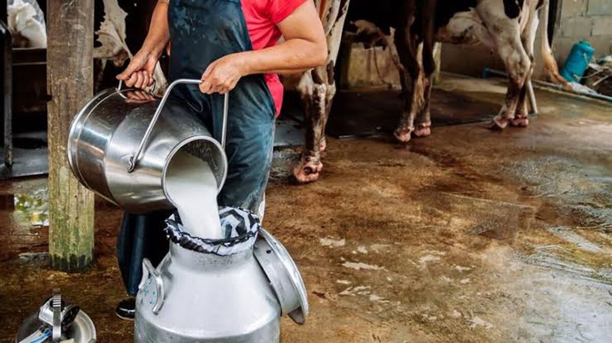 چرا ایران با وجود تولید بالای شیر، همچنان به واردات برخی محصولات لبنی نیاز دارد؟