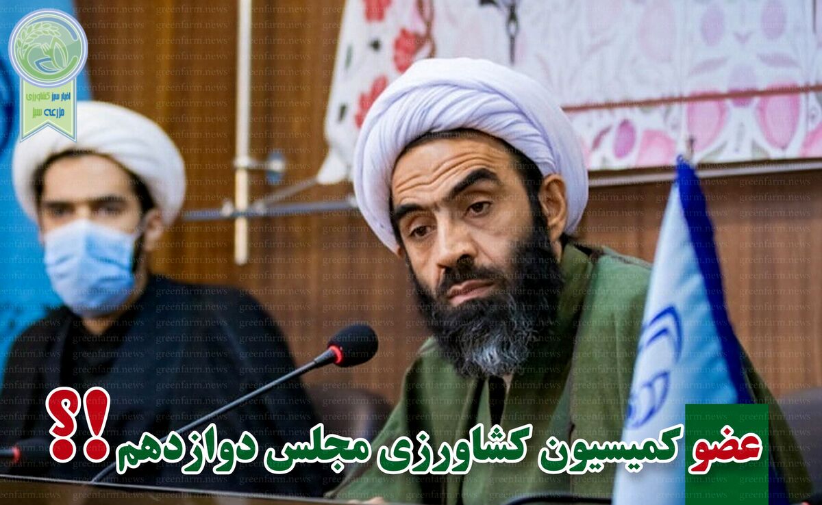 محمدتقی نقدعلی بار دیگر در بهارستان ماندگار شد

