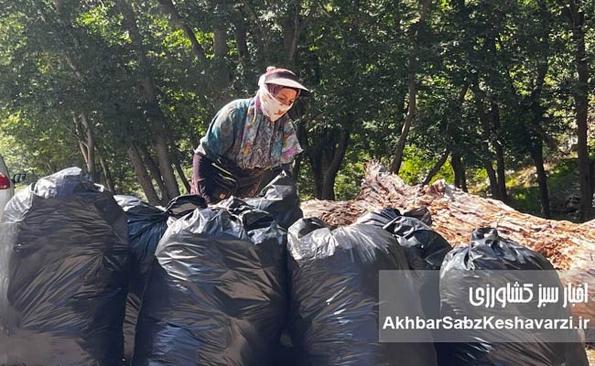 توقف پاکسازی پارک ملی گلستان؛ وقتی «حفاظت مشارکتی» به سد اداری می‌خورد