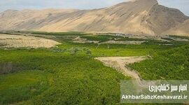 «زمین‌های دماوند و شمیرانات»: حراج بیت‌المال یا اشتباه قضایی؟
