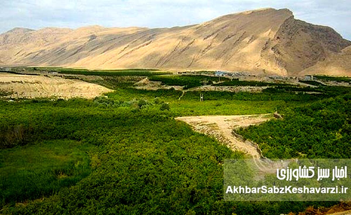 «زمین‌های دماوند و شمیرانات»: حراج بیت‌المال یا اشتباه قضایی؟