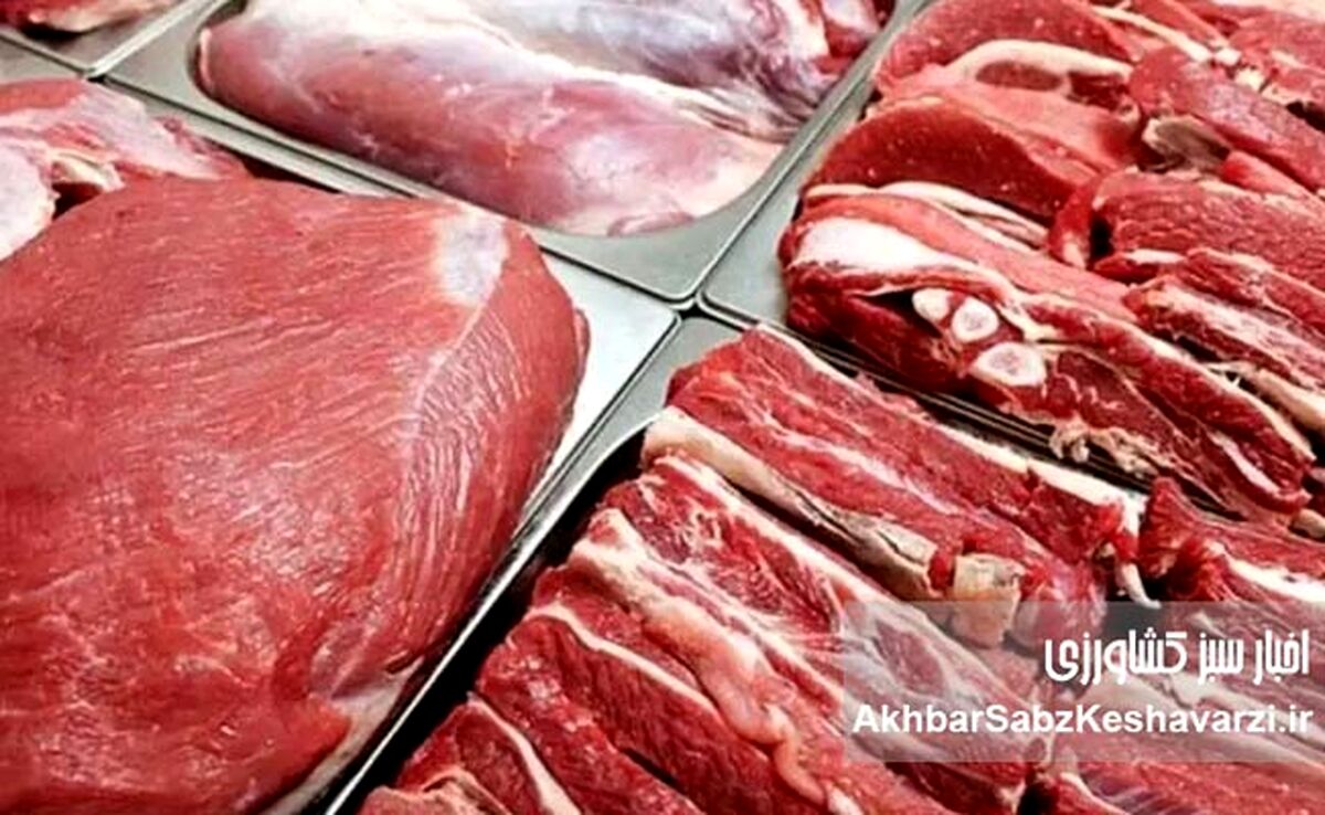 قیمت واقعی گوشت‌های وارداتی اعلام شد | منبع اصلی واردات ایران کجاست؟