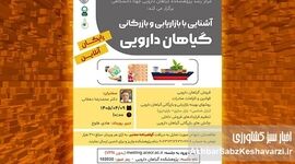 وبینار رایگان بازاریابی گیاهان دارویی؛ فرصتی مهم برای ورود به بازار
