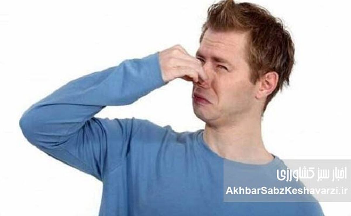 ۴ گروه غذایی که باعث بوی بدن می‌شوند+ راهکارهای خنثی‌سازی
