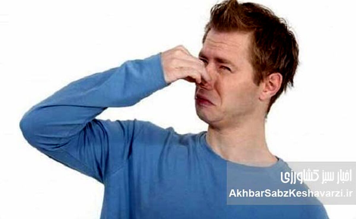۴ گروه غذایی که باعث بوی بدن می‌شوند+ راهکارهای خنثی‌سازی