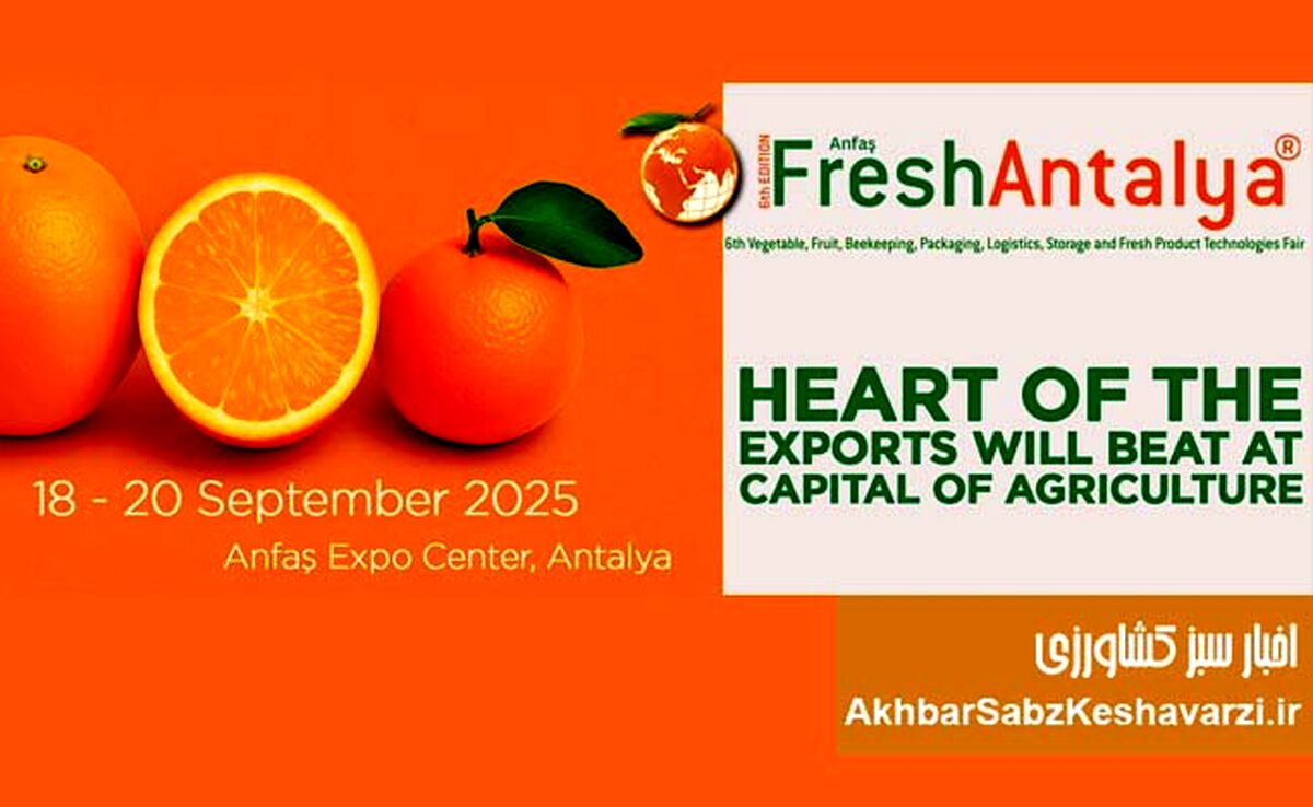 تجربه صادراتی بی‌نظیر در نمایشگاه Fresh Antalya+ جزئیات