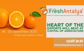 تجربه صادراتی بی‌نظیر در نمایشگاه Fresh Antalya+ جزئیات