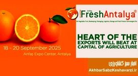 تجربه صادراتی بی‌نظیر در نمایشگاه Fresh Antalya+ جزئیات