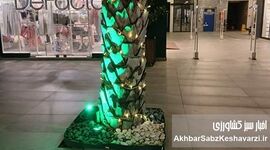 نخل در قلب یک مرکز تجاری؛ وقتی مدیریت آب با معماری زیست‌گرا پیوند می‌خورد
