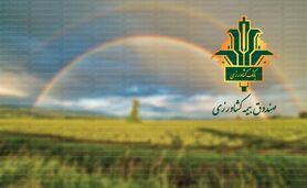 تقویت صندوق بیمه محصولات کشاورزی برای حمایت بیشتر از کشاورزان