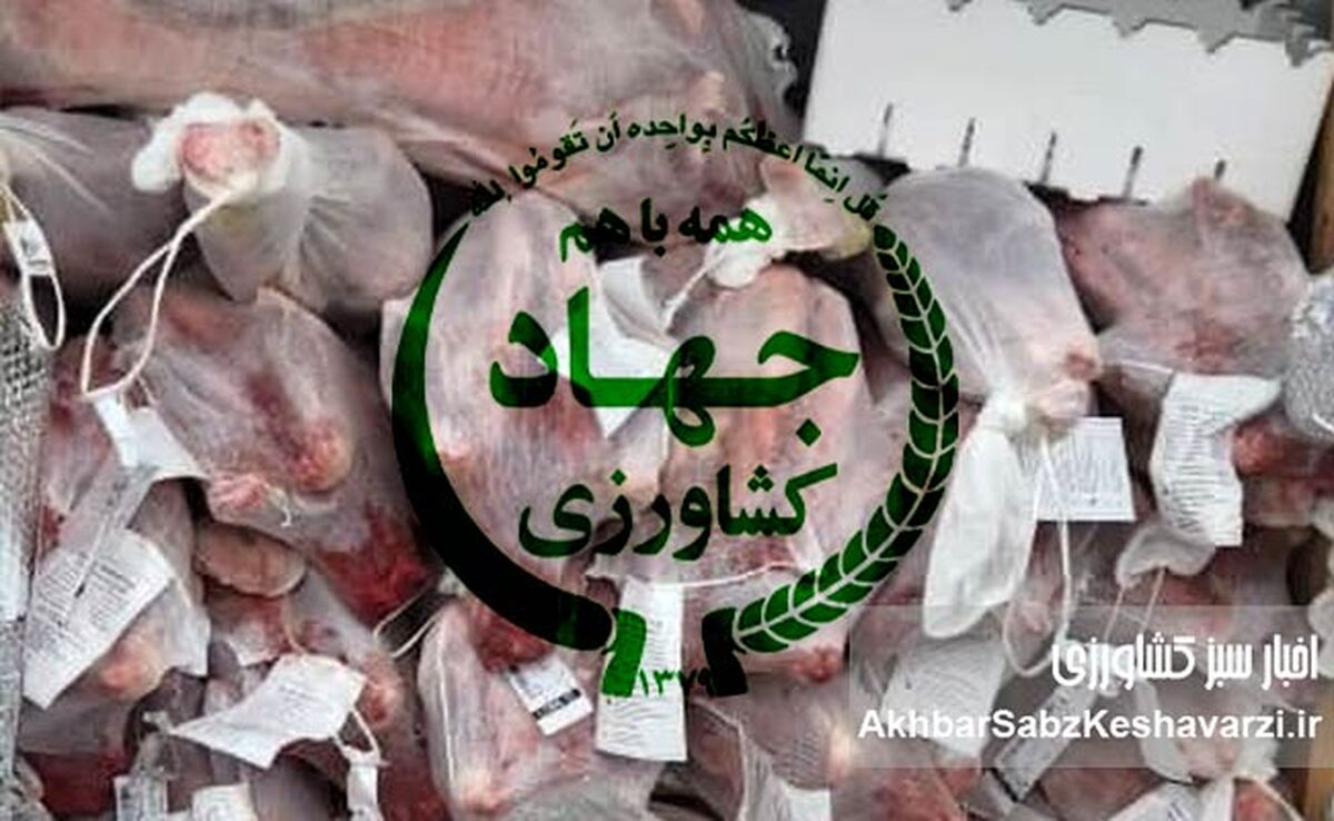 ۴ میلیون یورو پرکشید؛ رسوایی هدررفت ارز ترجیحی و مطالبه پاسخگویی