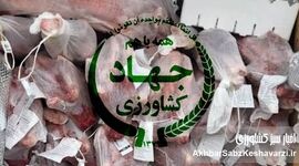 ۴ میلیون یورو پرکشید؛ رسوایی هدررفت ارز ترجیحی و مطالبه پاسخگویی
