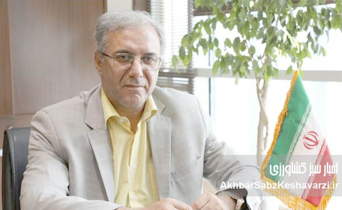 توانمندسازی روانی و سازمانی کارکنان در دوران گذار پس از بحران: رویکردی برای حفظ انگیزه و خلق فرصت