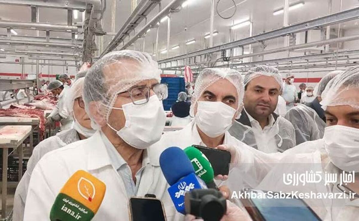 بسته‌بندی حرفه‌ای گوشت؛ نجات اقتصاد دام و پایان ضایعات پروتئینی