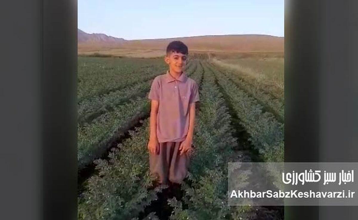 ایمان پرتوی؛ روایت یک درس بزرگ از کشاورزی حفاظتی در روستای مرادآباد+ویدئو