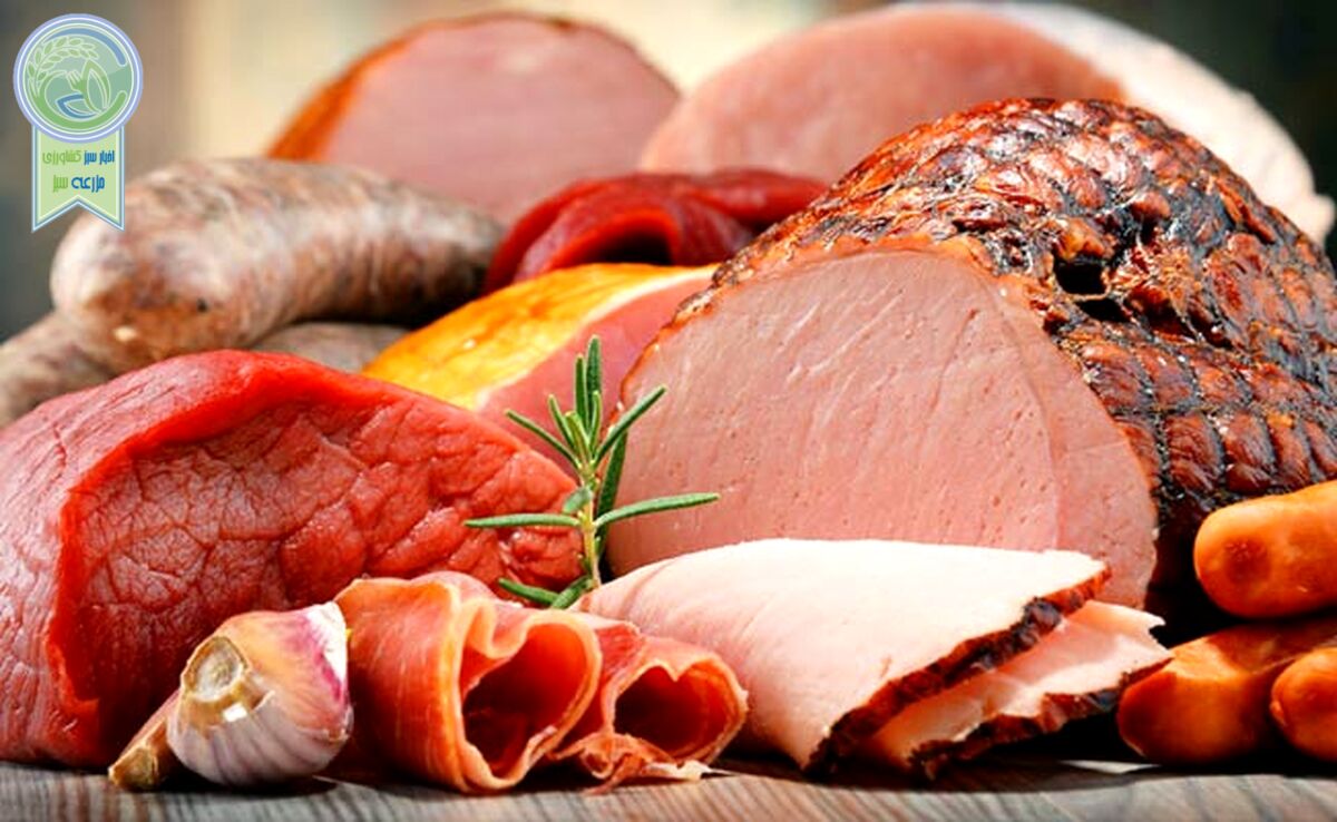 تغییر الگوی مصرف گوشت مطلوب است یا نامطلوب؟

