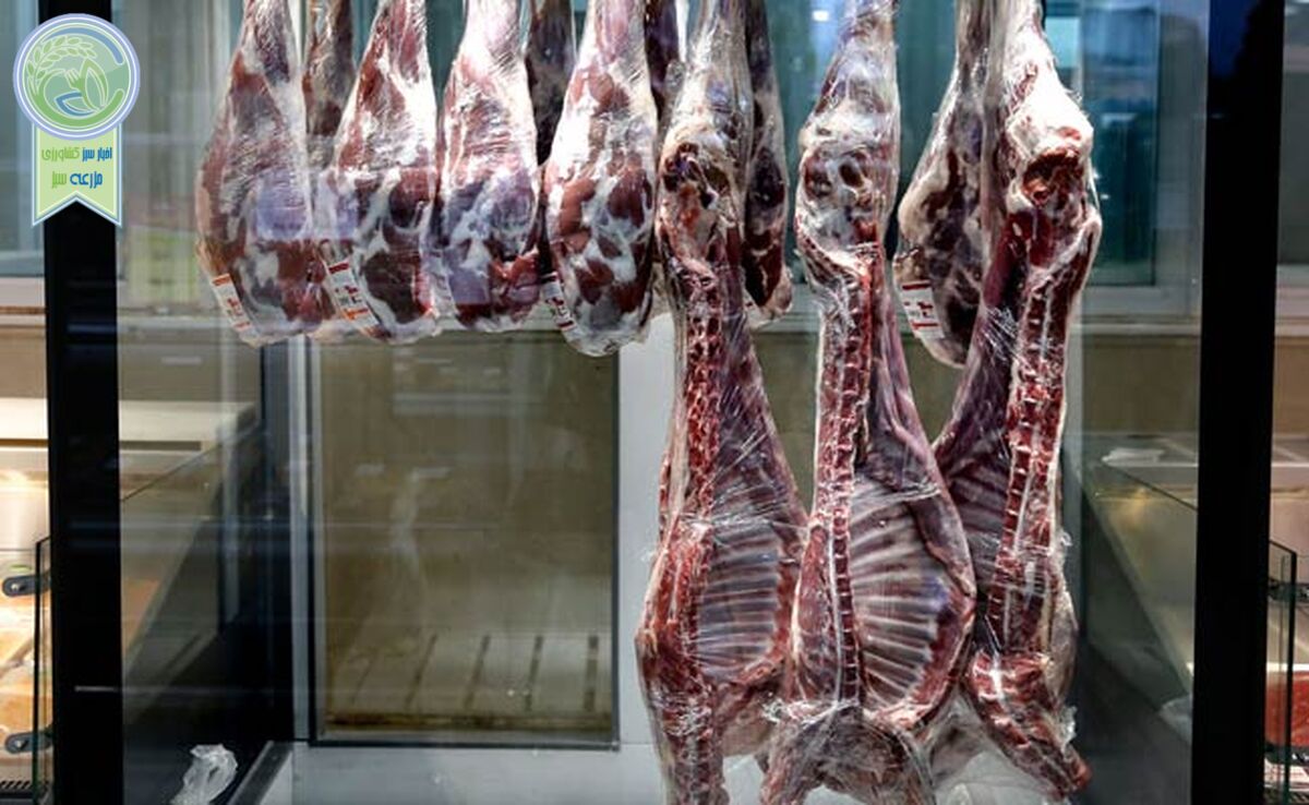 ۷۰۰ میلیون دلار واردات گوشت طی ۶ ماه

