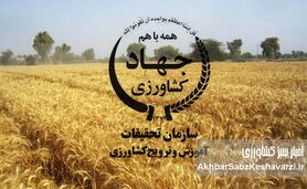 تحقیقات میلیاردی، ترویج صفر! زمان بازطراحی تات فرا رسیده است؟+ویدئو
