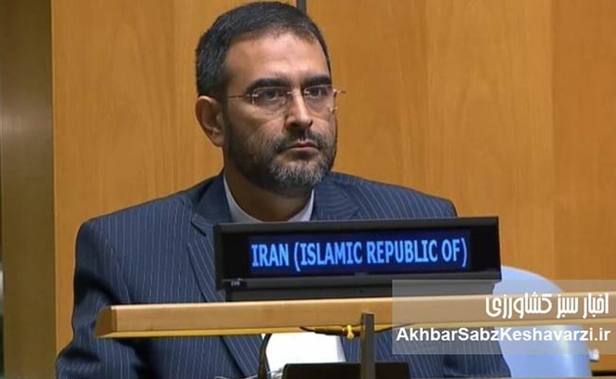 ناصر اسدی کیست؟ از خیابان سئول تا ساختمان سازمان ملل
