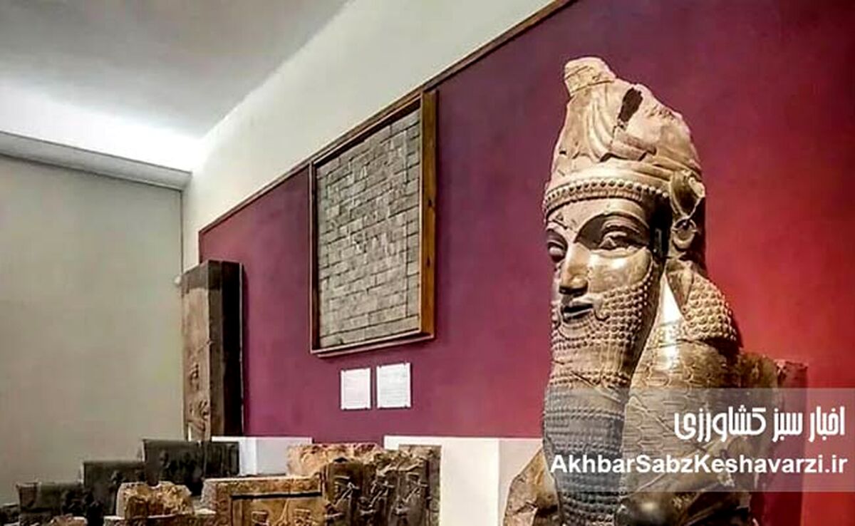 وقتی درهای موزه‌ها بسته شد؛ جامعه بی‌پناه ماند