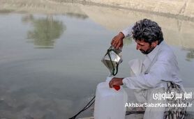 حقابه هیرمند؛ بحران آب و راهکارهای ایران در برابر چالش‌های اقلیمی