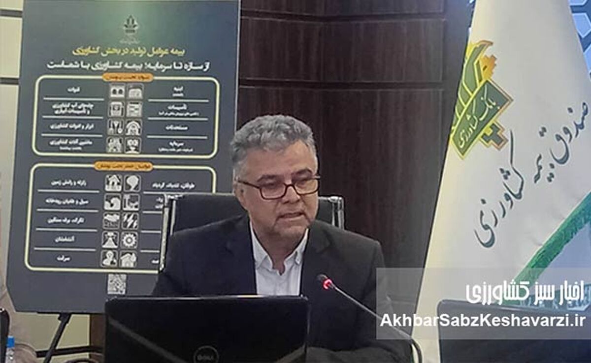 آغاز سال دوم اجرای «طرح بیمه فراگیر گندم»؛ گزارش دکتر شمس‌زاده از عملکرد سال نخست