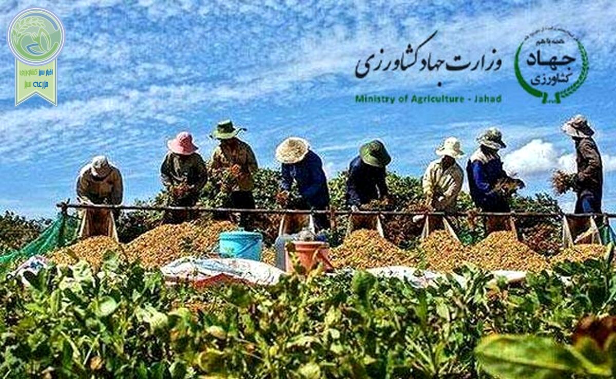 تعاونی‌ها چشم انتظار حمایت آقای وزیر

