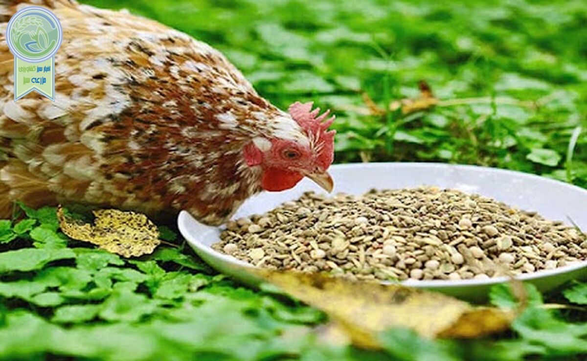 قیمت نهاده های دامی و محصولات کشاورزی ۳ اسفند ۱۴۰۲+جدول

