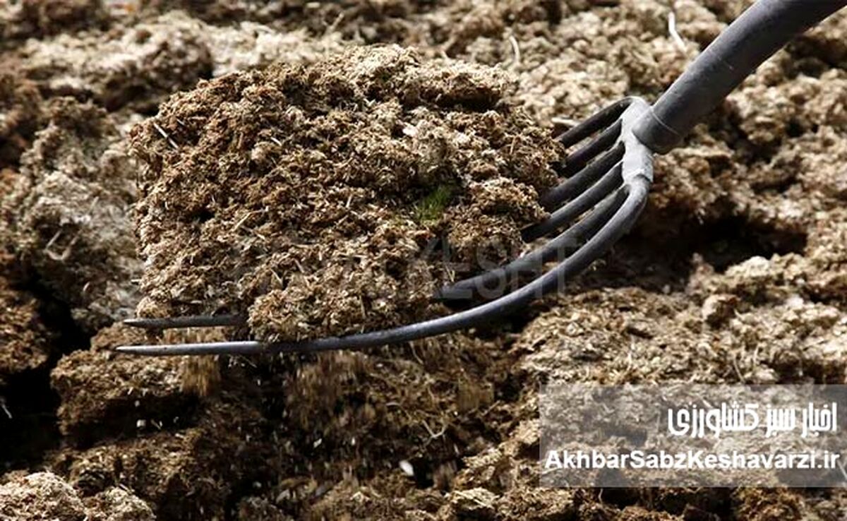 کمبود و گرانی کود شیمیایی؛ بحرانی که کشت پاییزه را به خطر انداخته است!